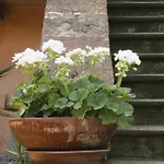 Lägenhet Borgo Archinto Robecco sul Naviglio
