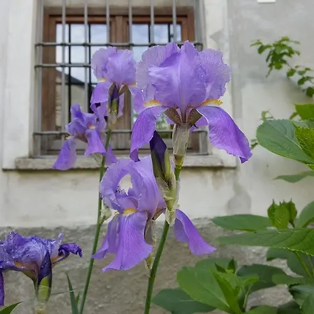 Borgo Archinto Apartment